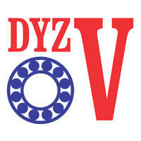 dyzv-logo-200